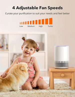 NA Air Purifier's four fan speeds.