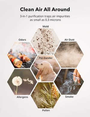 NA Air Purifier's suitability.